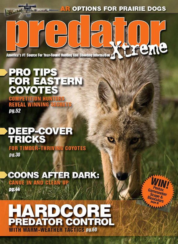 Predator Extreme Coyote.jpg