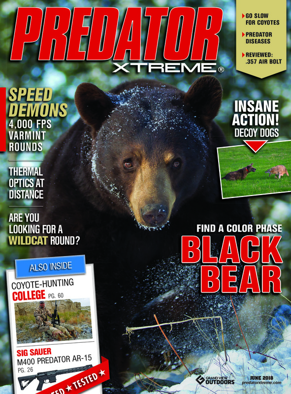 Predator Xtreme May June 18 Bear Covershot.jpg :: Cover Digital.indd