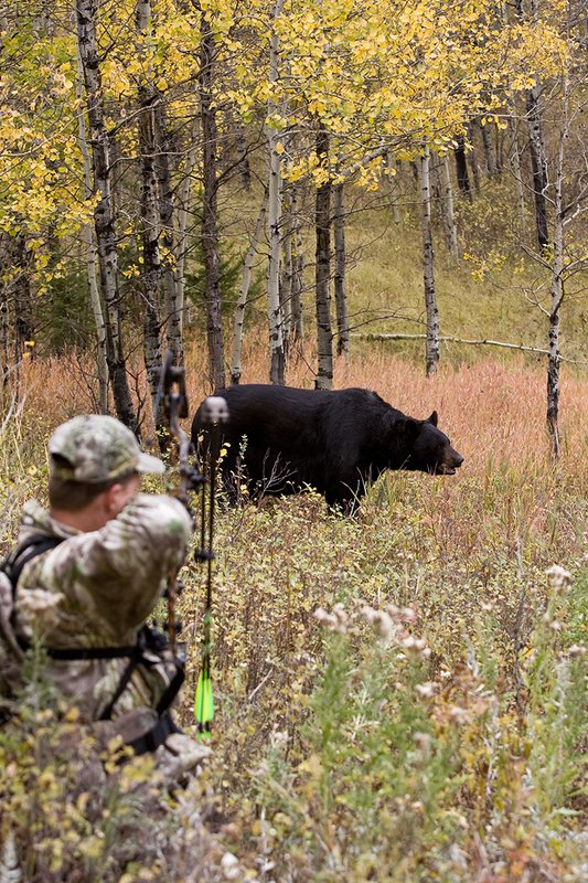 TC-Bowhunter-D90010-00672.jpg