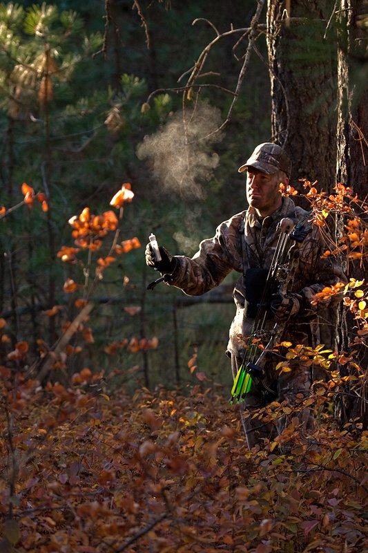 TC-Bowhunter-D90010-00762.jpg :: Bowhunter wearing Realtree AP Brown Camo and carrying a Hoyt Bow testing the wind direction with a squeeze bottle of corn starch in open timber with fall colors showing in grass and on leaves of trees/brush