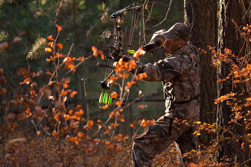 TC-Bowhunter-D90010-00763.jpg :: Bowhunter wearing Realtree AP Brown Camo ready to draw a Hoyt Bow while stillhunting in open timber with fall colors showing in grass and on leaves of trees/brush