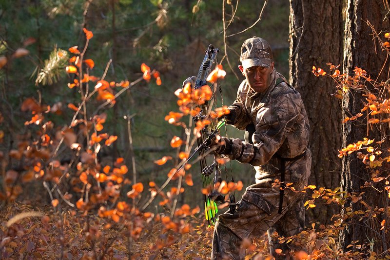 TC-Bowhunter-D90010-00779.jpg :: Bowhunter wearing Realtree AP Brown Camo with his Hoyt Bow at ready while stillhunting in open timber with fall colors showing in grass and on leaves of trees/brush