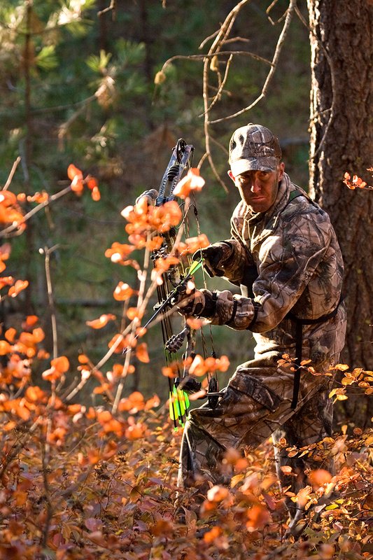 TC-Bowhunter-D90010-00788.jpg :: Bowhunter wearing Realtree AP Brown Camo with his Hoyt Bow at ready while stillhunting in open timber with fall colors showing in grass and on leaves of trees/brush