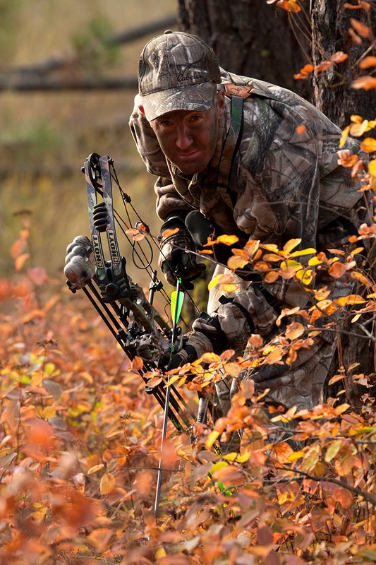 TC-Bowhunter-D90010-00803.jpg :: Bowhunter wearing Realtree AP Brown Camo with his Hoyt Bow at ready while stillhunting in open timber with fall colors showing in grass and on leaves of trees/brush