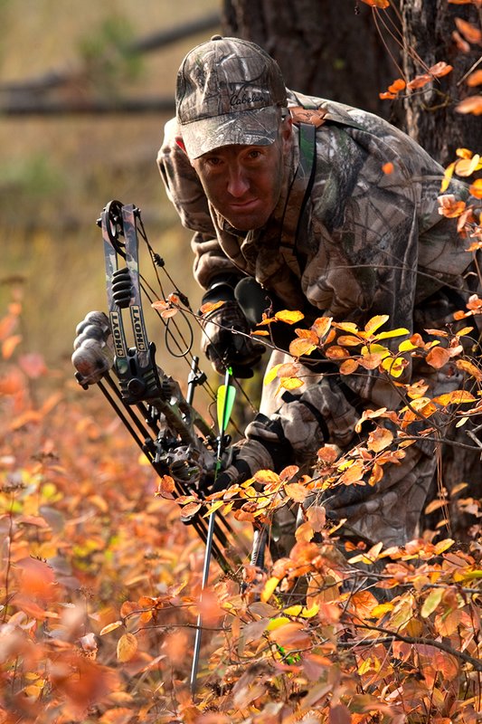 TC-Bowhunter-D90010-00807.jpg :: Bowhunter wearing Realtree AP Brown Camo with his Hoyt Bow at ready while stillhunting in open timber with fall colors showing in grass and on leaves of trees/brush