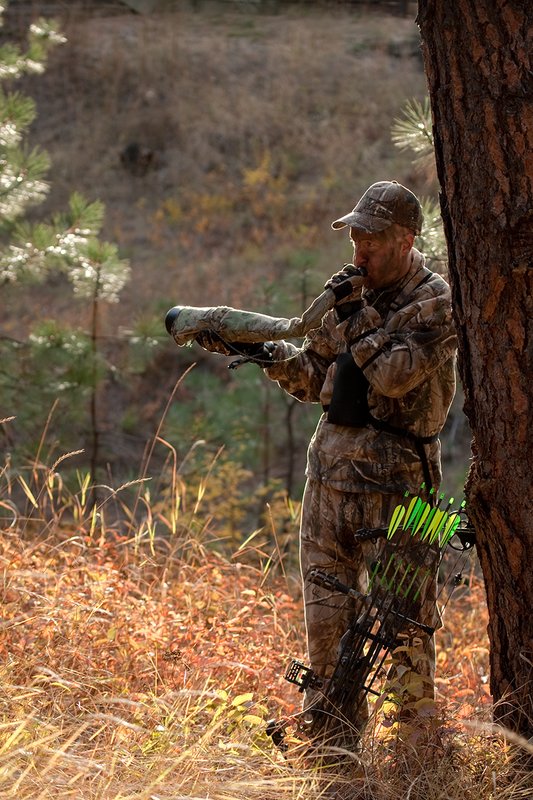TC-Bowhunter-D90010-00812.jpg :: Bowhunter bugling for elk wearing Realtree AP Brown Camo with a Hoyt Bow leaning up against a tree while stillhunting in open timber with fall colors showing in grass and on leaves of trees/brush