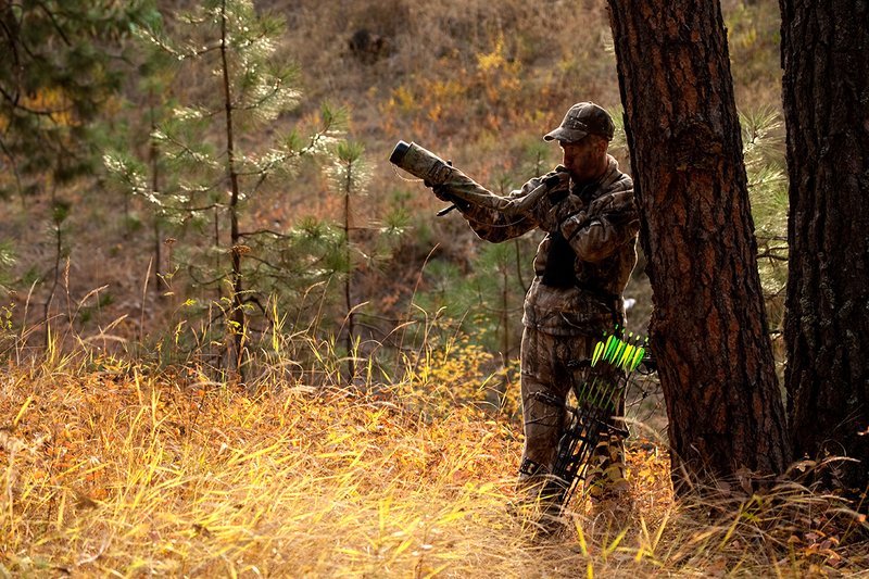 TC-Bowhunter-D90010-00815.jpg :: Bowhunter bugling for elk wearing Realtree AP Brown Camo with a Hoyt Bow leaning up against a tree while stillhunting in open timber with fall colors showing in grass and on leaves of trees/brush