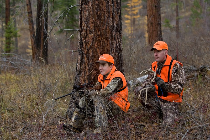 TC-Hunter Parent Child-D89995-00408.jpg :: Father (Jeff Christie) rattles antlers trying to attrack a whitetail buck for his son Jon while deer hunting on Jon's first deer hunt.
