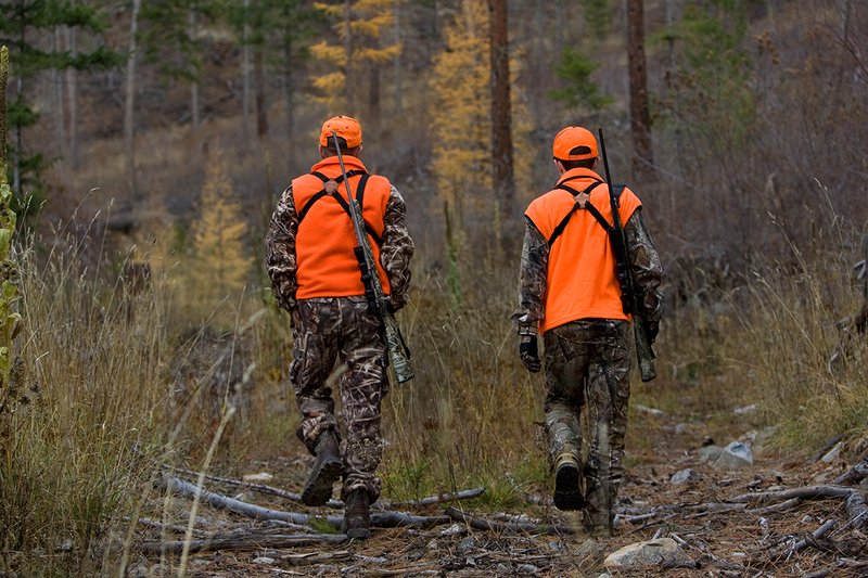 TC-Hunter Parent Child-D89995-00434.jpg :: Father (Jeff Christie) walks with his son Jon up an old two track while going to a deer stand on Jon's first deer hunt.