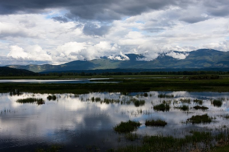 TC-Idaho Scenic-D50010-00001.jpg :: Flooded wetland at Kootenai Wildlife Refuge in North Idaho near Bonners Ferry, Idaho
