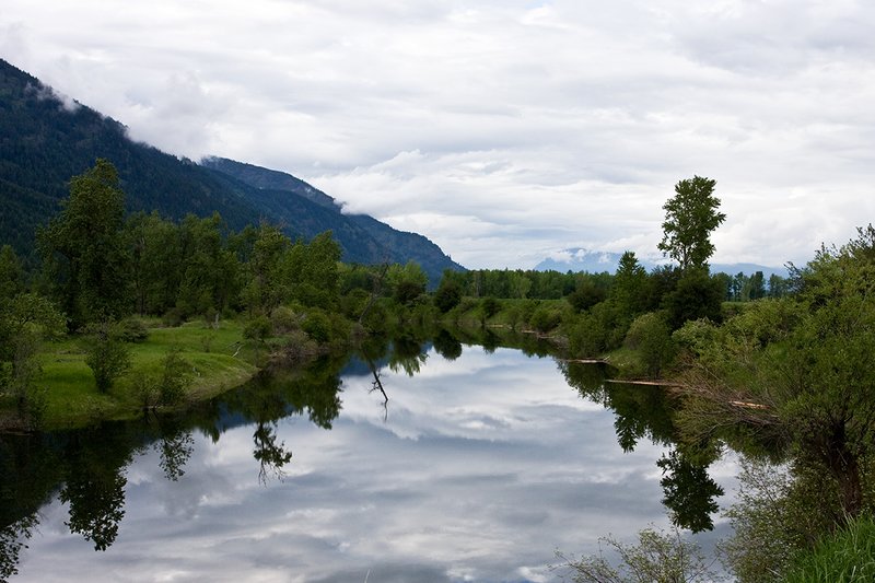 TC-Idaho Scenic-D50010-00009.jpg :: Myrtle creek running through the Kooteani Wildlife Refuge in North Idho near Bonners Ferry, Idaho