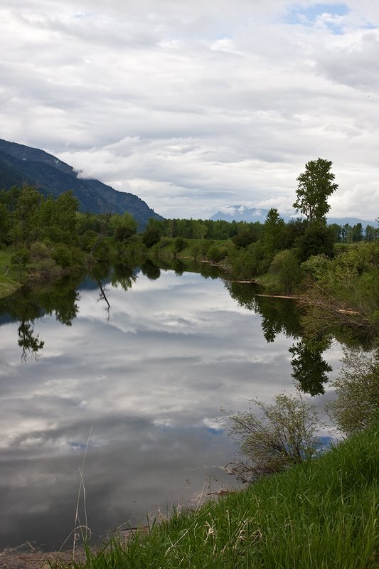 TC-Idaho Scenic-D50010-00014.jpg :: Myrtle creek running through the Kooteani Wildlife Refuge in North Idho near Bonners Ferry, Idaho