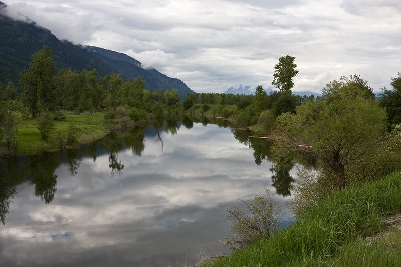 TC-Idaho Scenic-D50010-00020.jpg :: Myrtle creek running through the Kooteani Wildlife Refuge in North Idho near Bonners Ferry, Idaho
