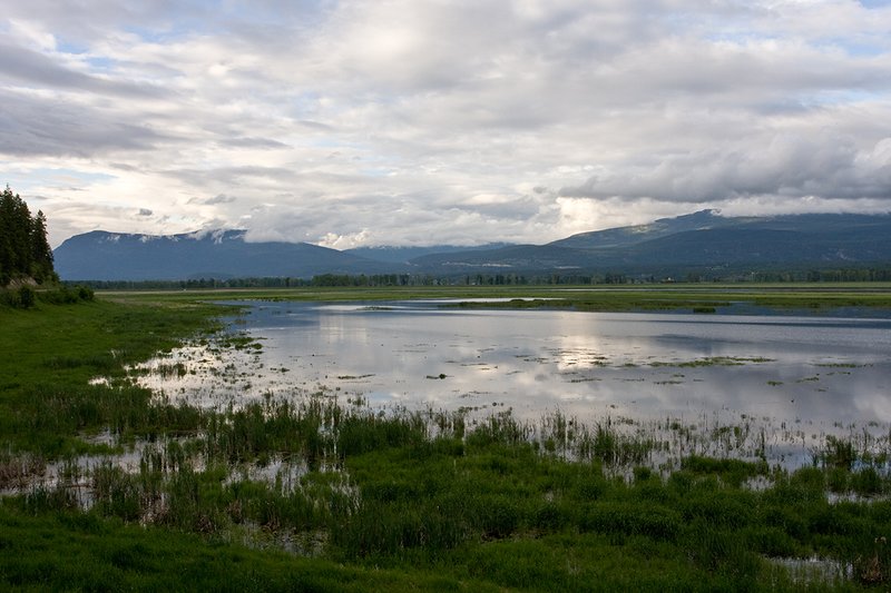 TC-Idaho Scenic-D50010-00045.jpg :: Wetlands on The Nature Conservancy Ball Creek Preserve in North Idaho near Bonners, Ferry Idaho