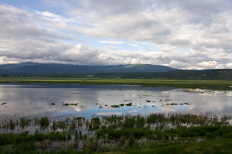 TC-Idaho Scenic-D50010-00051.jpg :: Wetlands on The Nature Conservancy Ball Creek Preserve in North Idaho near Bonners, Ferry Idaho