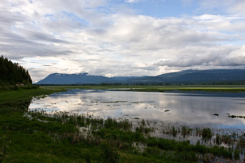 TC-Idaho Scenic-D50010-00054.jpg :: Wetlands on The Nature Conservancy Ball Creek Preserve in North Idaho near Bonners, Ferry Idaho