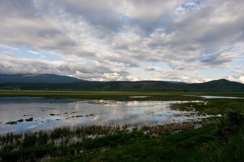 TC-Idaho Scenic-D50010-00063.jpg :: Wetlands on The Nature Conservancy Ball Creek Preserve in North Idaho near Bonners, Ferry Idaho