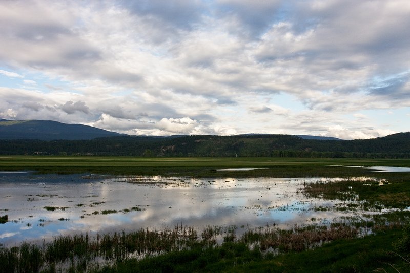 TC-Idaho Scenic-D50010-00066.jpg :: Wetlands on The Nature Conservancy Ball Creek Preserve in North Idaho near Bonners, Ferry Idaho