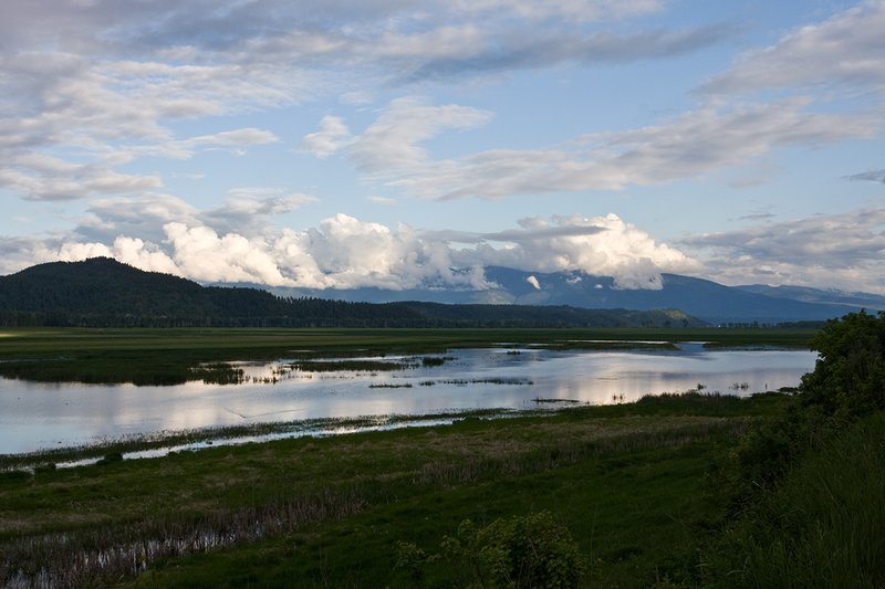 TC-Idaho Scenic-D50010-00071.jpg :: Wetlands on The Nature Conservancy Ball Creek Preserve in North Idaho near Bonners, Ferry Idaho