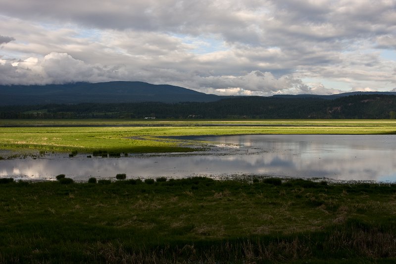TC-Idaho Scenic-D50010-00084.jpg :: Wetlands on The Nature Conservancy Ball Creek Preserve in North Idaho near Bonners, Ferry Idaho