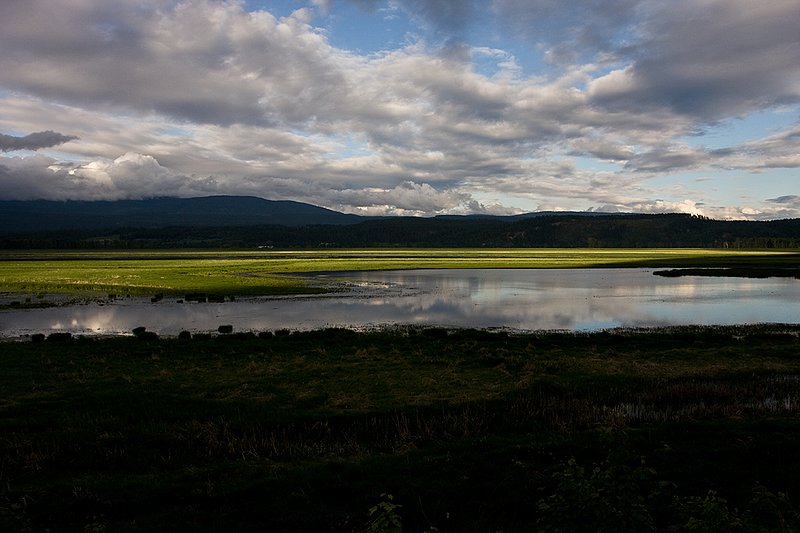 TC-Idaho Scenic-D50010-00090.jpg :: Wetlands on The Nature Conservancy Ball Creek Preserve in North Idaho near Bonners, Ferry Idaho