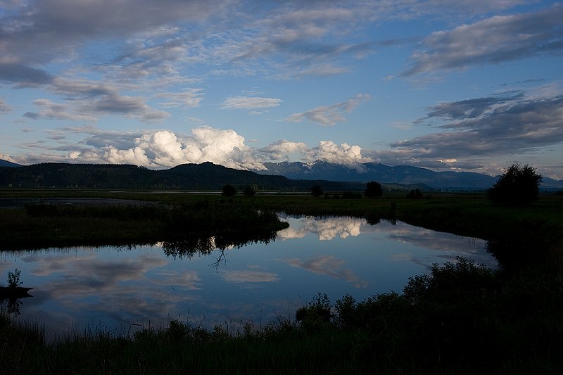 TC-Idaho Scenic-D50010-00120.jpg :: Wetland on The Nature Conservancy Ball Creek Preserve in North Idaho near Bonners Ferry, Idaho