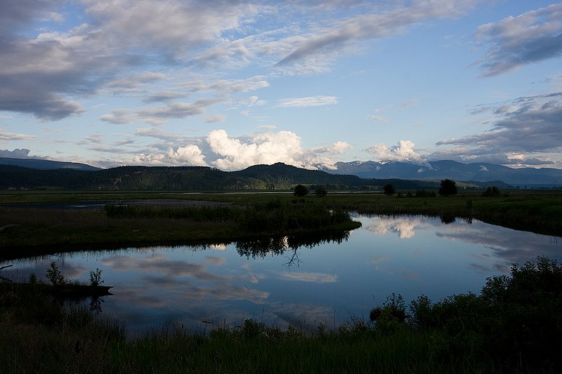 TC-Idaho Scenic-D50010-00132.jpg :: Wetland on The Nature Conservancy Ball Creek Preserve in North Idaho near Bonners Ferry, Idaho