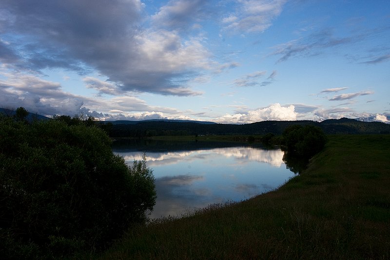 TC-Idaho Scenic-D50010-00156.jpg :: Kootenai River flowing on the edge of The Nature Conservancy Ball Creek Preserve in North Idaho near Bonners Ferry, Idaho