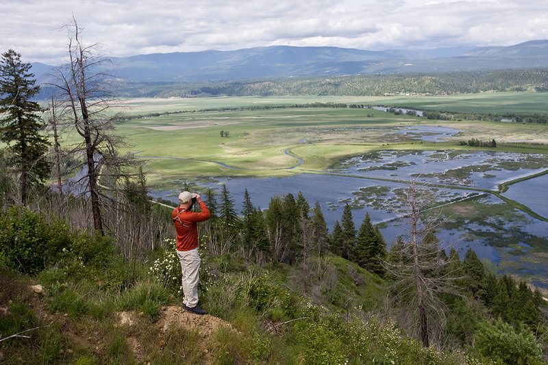 TC-Idaho Scenic-D50010-00162.jpg :: Justin Petty Glasses from mountain overlook into Kooteani Wildlife Refuge in North Idaho near Bonners Ferry, Idaho