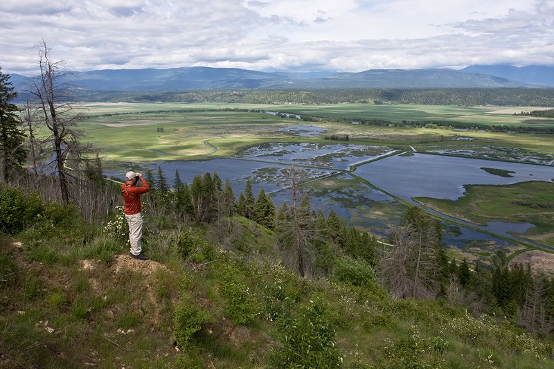 TC-Idaho Scenic-D50010-00165.jpg :: Justin Petty Glasses from mountain overlook into Kooteani Wildlife Refuge in North Idaho near Bonners Ferry, Idaho
