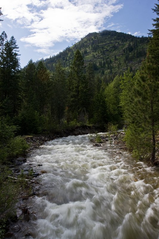 TC-Idaho Scenic-D50010-00171.jpg :: Ball Creek flowing out of the Selkirk Mountains in North Idaho near Bonners Ferry, IDaho