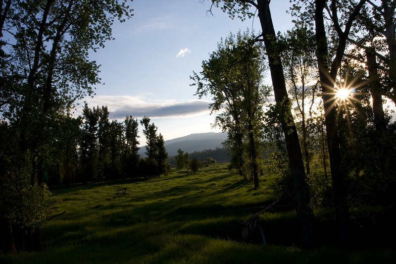 TC-Idaho Scenic-D50010-00192.jpg :: Sun filtering through tress in Kooteani River bottom in The Nature Conservancy Ball Creek Ranch Preserve in North Idaho near Bonners Ferry, Idaho