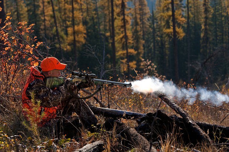 TC-Muzzleloader Hunters-D90008-00339.jpg :: Muzzleloader hunter wearing Advantage Max4-HD camo and Realtree Orange Vest shooting CVA Muzzleloader topped with Leuopold Omega Scope with smoke from muzzleoader coming from barrel, Larch trees in fall colors backlit in background