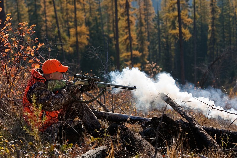 TC-Muzzleloader Hunters-D90008-00341.jpg :: Muzzleloader hunter wearing Advantage Max4-HD camo and Realtree Orange Vest shooting CVA Muzzleloader topped with Leuopold Omega Scope with smoke from muzzleoader coming from barrel, Larch trees in fall colors backlit in background