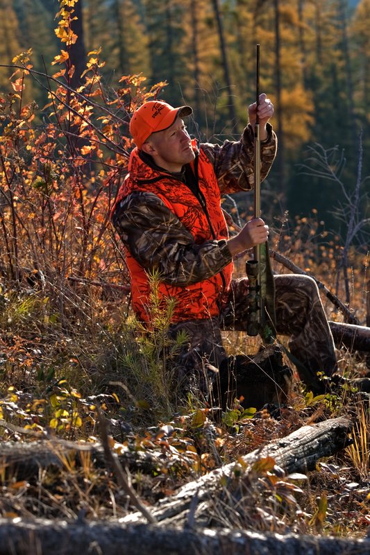 TC-Muzzleloader Hunters-D90008-00342.jpg :: Muzzleloader hunter wearing Advantage Max4-HD camo and Realtree Orange Vest shooting CVA Muzzleloader topped with Leuopold Omega Scope loads muzzleloader, backlighting with larch trees in fall colors