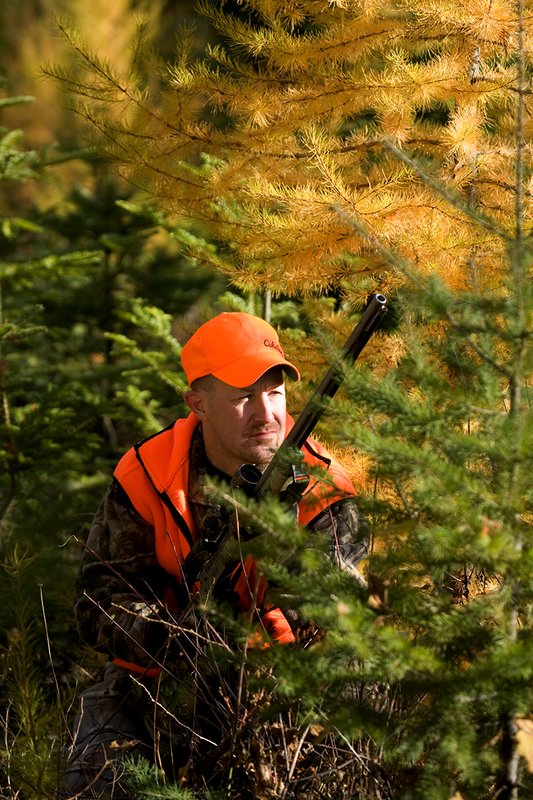 TC-Muzzleloader Hunters-D90008-00803.jpg :: Muzzleloader Hunter wearing Realtree AP Brown camo and a florescent orange vest and hat crouched down in a ground blind of pines and Western Larch while waiting for big game