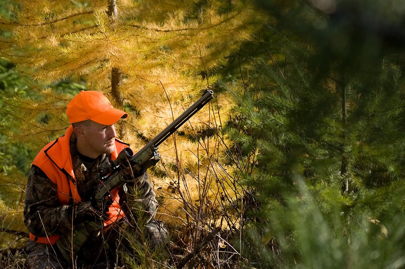 TC-Muzzleloader Hunters-D90008-00806.jpg :: Muzzleloader Hunter wearing Realtree AP Brown camo and a florescent orange vest and hat crouched down in a ground blind of pines and Western Larch while waiting for big game