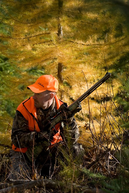 TC-Muzzleloader Hunters-D90008-00809.jpg :: Muzzleloader Hunter wearing Realtree AP Brown camo and a florescent orange vest and hat crouched down in a ground blind of pines and Western Larch while waiting for big game