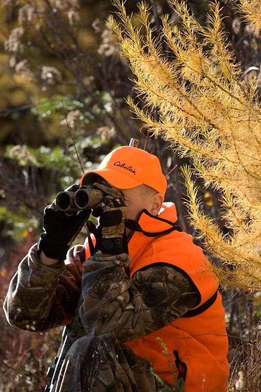 TC-Muzzleloader Hunters-D90008-00818.jpg :: Muzzleloader Hunter wearing Realtree AP Brown camo and a florescent orange vest and hat crouched down in a ground blind of pines and Western Larch glassing with Nikon 8x42 binocular for game