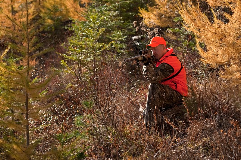 TC-Muzzleloader Hunters-D90008-00843.jpg :: Muzzleloader Hunter wearing Realtree AP Brown camo and a florescent orange vest and hat crouched down shooting his CVA muzzleloader amist pines and Western Larch