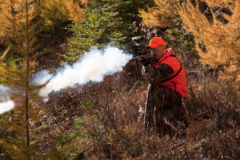 TC-Muzzleloader Hunters-D90008-00846.jpg :: Muzzleloader Hunter wearing Realtree AP Brown camo and a florescent orange vest and hat crouched down shooting his CVA muzzleloader amist pines and Western Larch