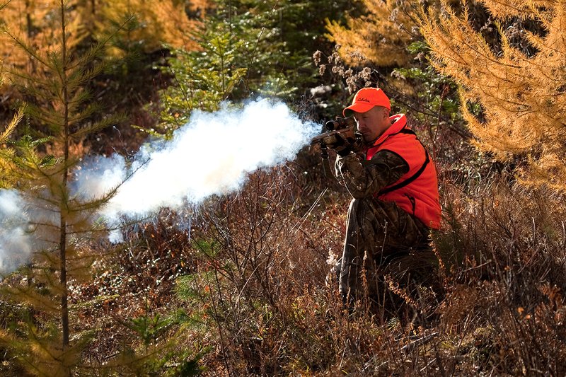 TC-Muzzleloader Hunters-D90008-00847.jpg :: Muzzleloader Hunter wearing Realtree AP Brown camo and a florescent orange vest and hat crouched down shooting his CVA muzzleloader amist pines and Western Larch