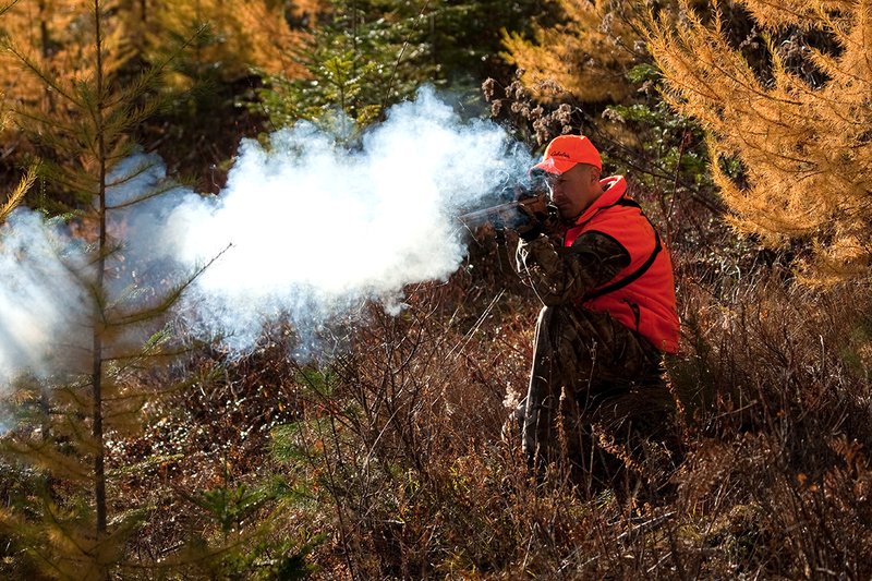 TC-Muzzleloader Hunters-D90008-00851.jpg :: Muzzleloader Hunter wearing Realtree AP Brown camo and a florescent orange vest and hat crouched down shooting his CVA muzzleloader amist pines and Western Larch