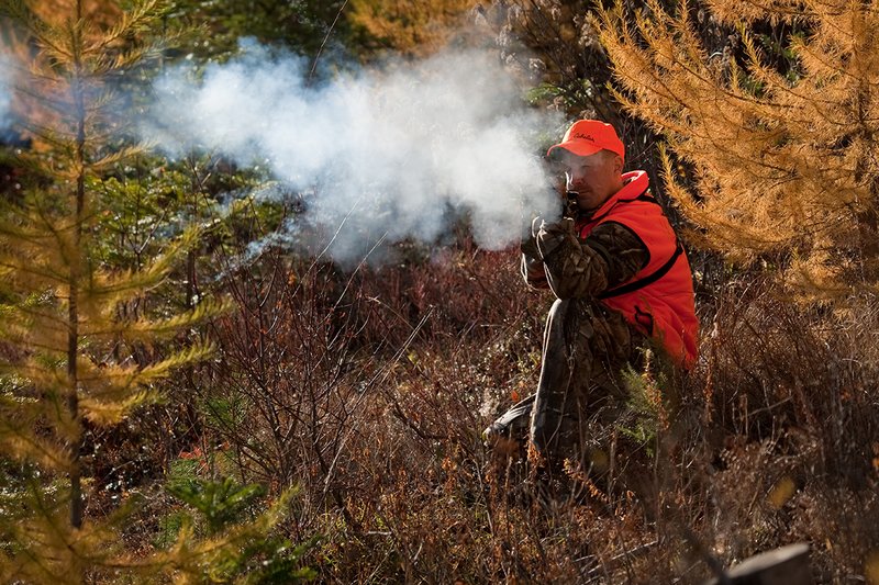TC-Muzzleloader Hunters-D90008-00860.jpg :: Muzzleloader Hunter wearing Realtree AP Brown camo and a florescent orange vest and hat crouched down shooting his CVA muzzleloader amist pines and Western Larch