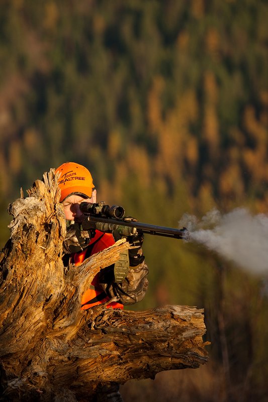 TC-Muzzleloader Hunters-D90008-00950.jpg :: Muzzleloader Hunter wearing Realtree AP Brown camo and a florescent orange vest and hat crouched down shooting his CVA muzzleloader using an old tree root as a rest with pine trees and other trees in fall colors in the background