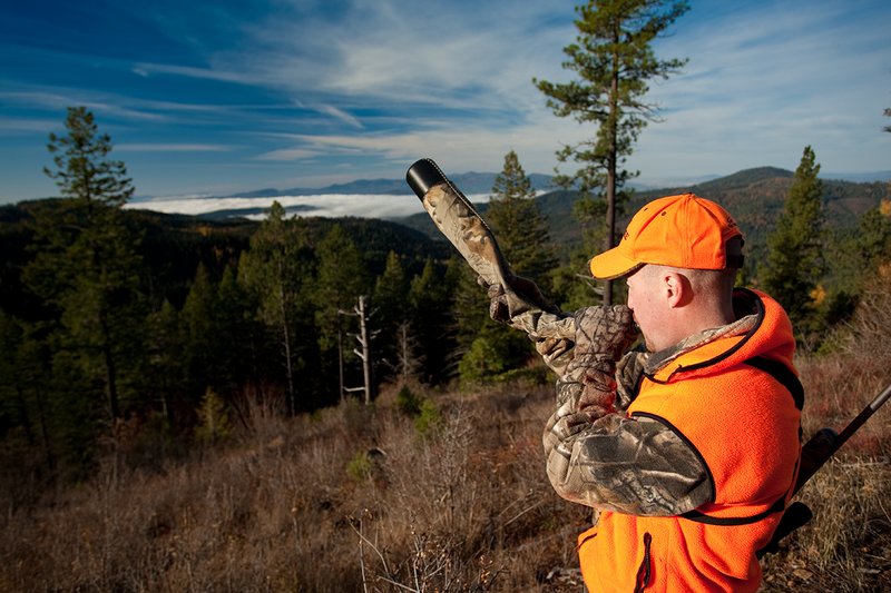 TC-Rifle Hunters-D90000-01217.jpg :: Rifle Hunter wearing Realtree AP Brown Camo and a florescent orange hat and vest bugling into a dark timber basin filled with western larch in fall colors trying to get a response from a bull elk