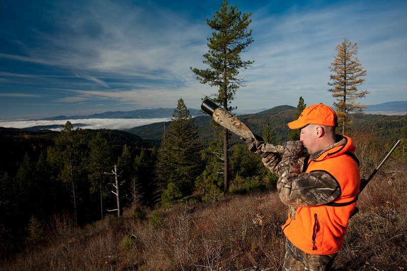 TC-Rifle Hunters-D90000-01221.jpg :: Rifle Hunter wearing Realtree AP Brown Camo and a florescent orange hat and vest bugling into a dark timber basin filled with western larch in fall colors trying to get a response from a bull elk