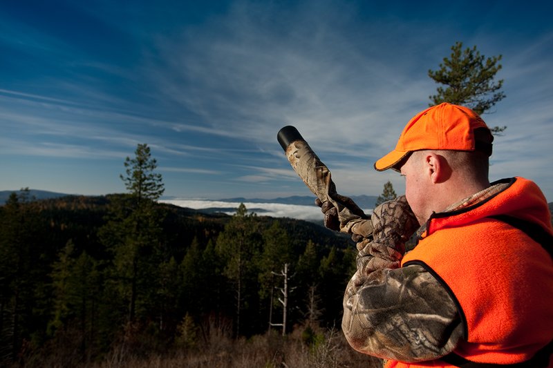 TC-Rifle Hunters-D90000-01224.jpg :: Rifle Hunter wearing Realtree AP Brown Camo and a florescent orange hat and vest bugling into a dark timber basin filled with western larch in fall colors trying to get a response from a bull elk