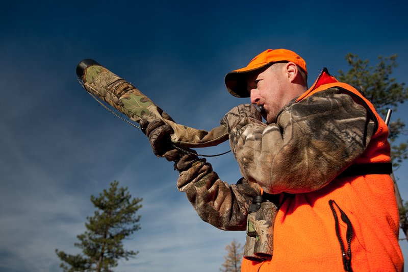 TC-Rifle Hunters-D90000-01236.jpg :: Rifle Hunter wearing Realtree AP Brown Camo and a florescent orange hat and vest bugling into a dark timber basin filled with western larch in fall colors trying to get a response from a bull elk