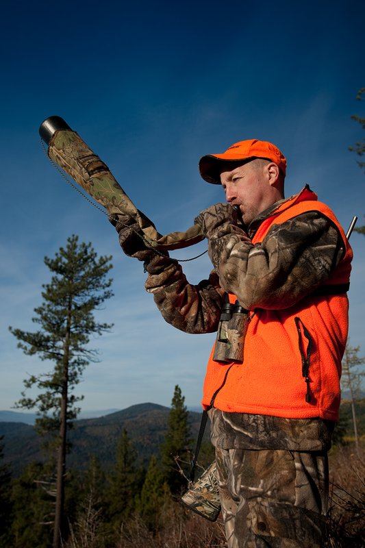 TC-Rifle Hunters-D90000-01242.jpg :: Rifle Hunter wearing Realtree AP Brown Camo and a florescent orange hat and vest bugling into a dark timber basin filled with western larch in fall colors trying to get a response from a bull elk